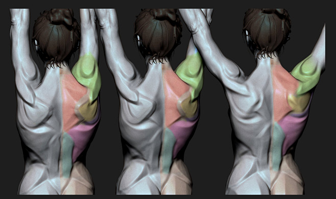 Shoulder Movement St...