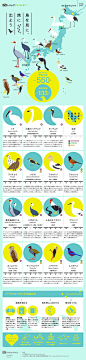 鳥を見に旅に出よう　 トリップアドバイザーのインフォグラフィックスで世界の旅が見える