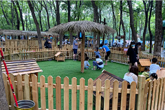 木子22采集到萌宠展