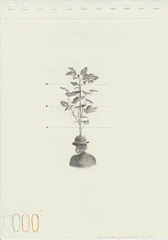 哥伦比亚视觉艺术家 Juan Osorno 的小画，这些作品有着博物学复古插图和拼贴艺术的影子，像是一个神游者的课堂笔记，变成了一首首孤独的小诗。（ins：juan.osorno）【相关推荐：O尖峰视界】