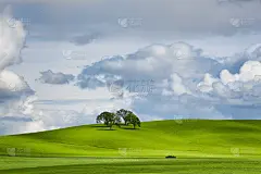 多云天空下的极简主义景观