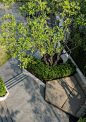 mooool Na Laan Studio Astera_Pride Pocket Garden7