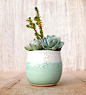 stoneware planter: 