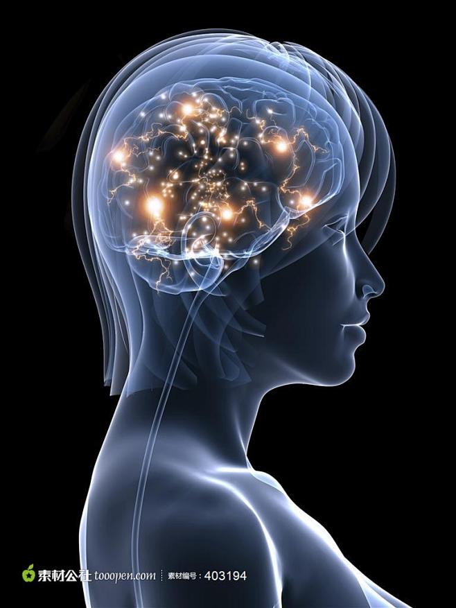 科幻气息美女人体器官透视效果高清摄影桌面...