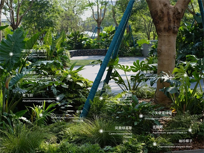 中海荔府植物营造深度分享 / 中海集团&...