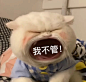猫咪张大嘴表情包合集 : 猫咪张大嘴表情包合集 ​猫咪张大嘴表情包合集 ​猫咪张大嘴表情包合集 ​猫咪张大嘴表情包合集 ​猫咪张大嘴表情包合集 ​猫咪张大嘴表情包合集...