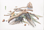 木壳人__插画师作品