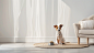 ls7623_A_dog_sits_on_the_floor_in_front_of_an_empty_white_wall__a7899439-692c-4451-866a-8a7f4c98a14d