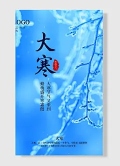 大寒节气，蜡梅盛开