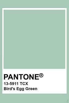 残酷、的现实采集到潘通(PANTONE)