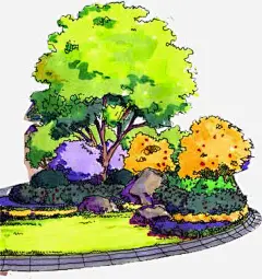 手绘彩色园林植物免抠素材_新图网 https://ixintu.com 园林 彩色 植物