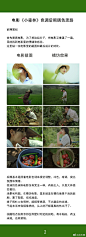 #每天学点摄影技巧#
第4495期：电影小森林色调后期调色思路

作者@花木君 ​​​​