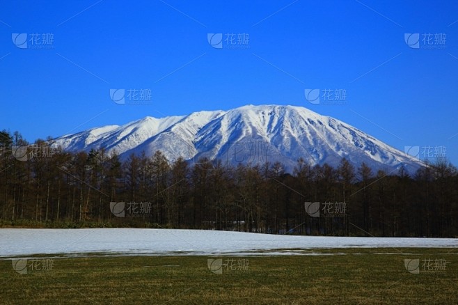 冬天,农场,自然,草原,水平画幅,雪,无...