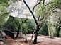 tatiana-bilbao-woodland-retreat-mexico-2.jpg (1067×800)