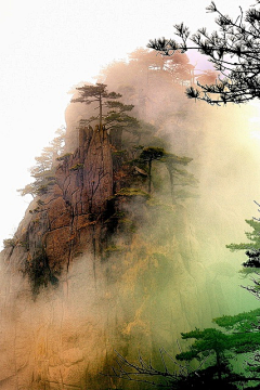 东涉水采集到美图