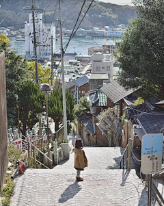 倒里采集到场景