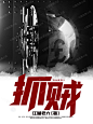 七猫小说封面男频-抓贼