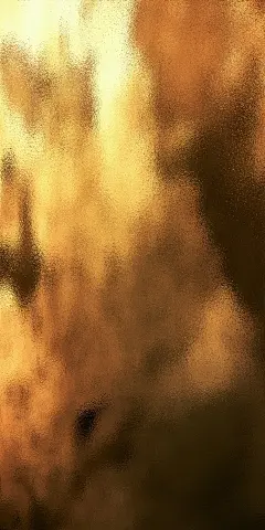 金色纹理
