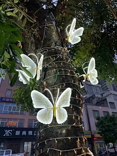 摘摘不是杰杰采集到灯光装置