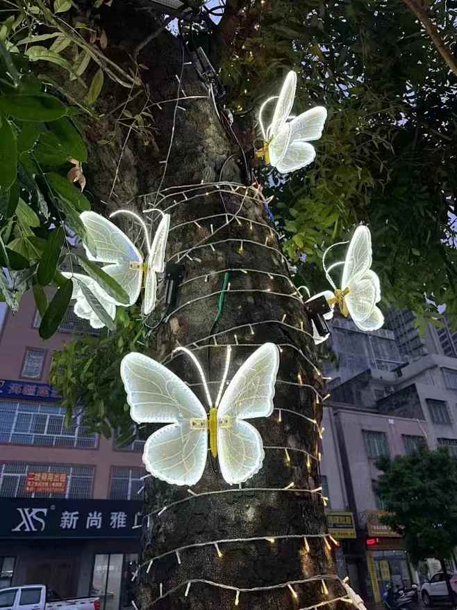 树木亮化