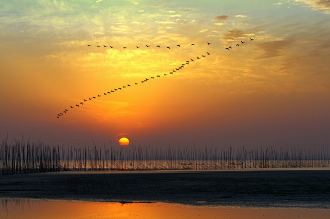 升金湖——夕阳