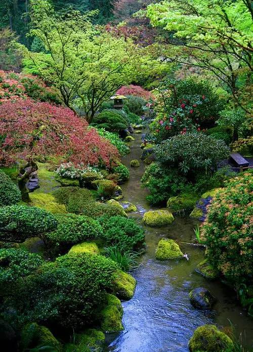 日式禅意风格庭院大汇总，从铺装到水景，应...