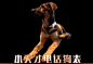 640_wx_fmt=jpeg&tp=webp&wxfrom=5&wx_lazy=1&wx_co=1