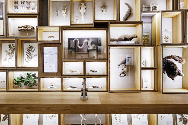 Discovering Taiwan: ...