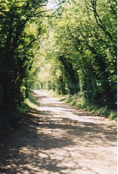 HuangJYu采集到道路