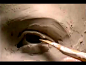 飞利浦.法洛的雕塑2 - 视频 - 优酷视频 - 在线观看