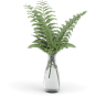 盆栽 植物 绿色叶子 透明素材 png 免扣素材