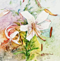 #水粉画#