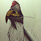 Mymutas - Experimental Arts, bird 02 work in progress #采集大赛#