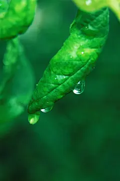 桌面壁纸预览_高清电脑桌面壁纸大全_风景壁纸_美女壁纸_动漫壁纸大全_漫漫看壁纸库