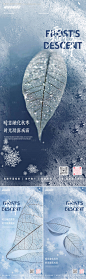 编号：20320026596733855【享设计】源文件下载-霜降节气系列海报