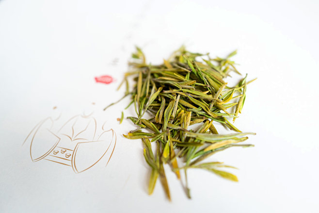 新鲜的中国传统茶叶黄金芽摄影照片