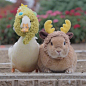 鸭鸭与兔兔的温馨日常，双倍的可爱攻击啊_:(´ཀ`」 ∠):_ 【Ins ID：usausausa1201】 ​​​​