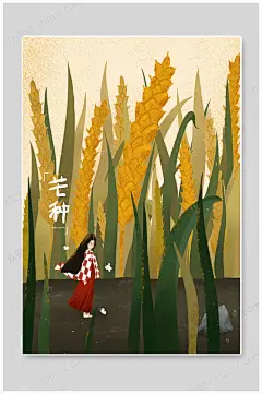 芒种节气插画中国节日