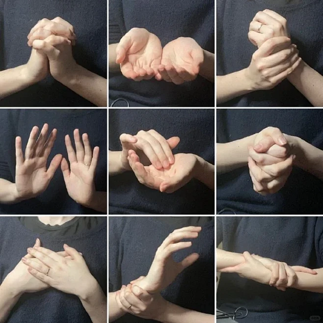 不同款式的手参考 | 绘画参考