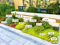 筡涂采集到花镜