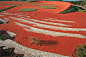 Art on the earth | landscape creative perception – mooool