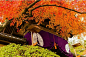 【京都の楓】秋天该很好，你若尚在场 - 去旅游 - 成都食尚论坛 -