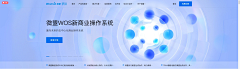 MT_313采集到Banner