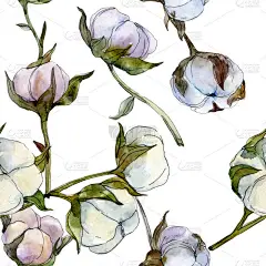 棉花花卉植物学花。野生春叶野花。水彩插图集。水彩画时尚水族馆隔离。无缝的背景模式。织物壁纸打印纹理.