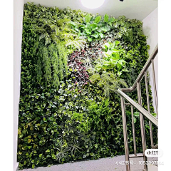 0388E0Ni采集到植物墙