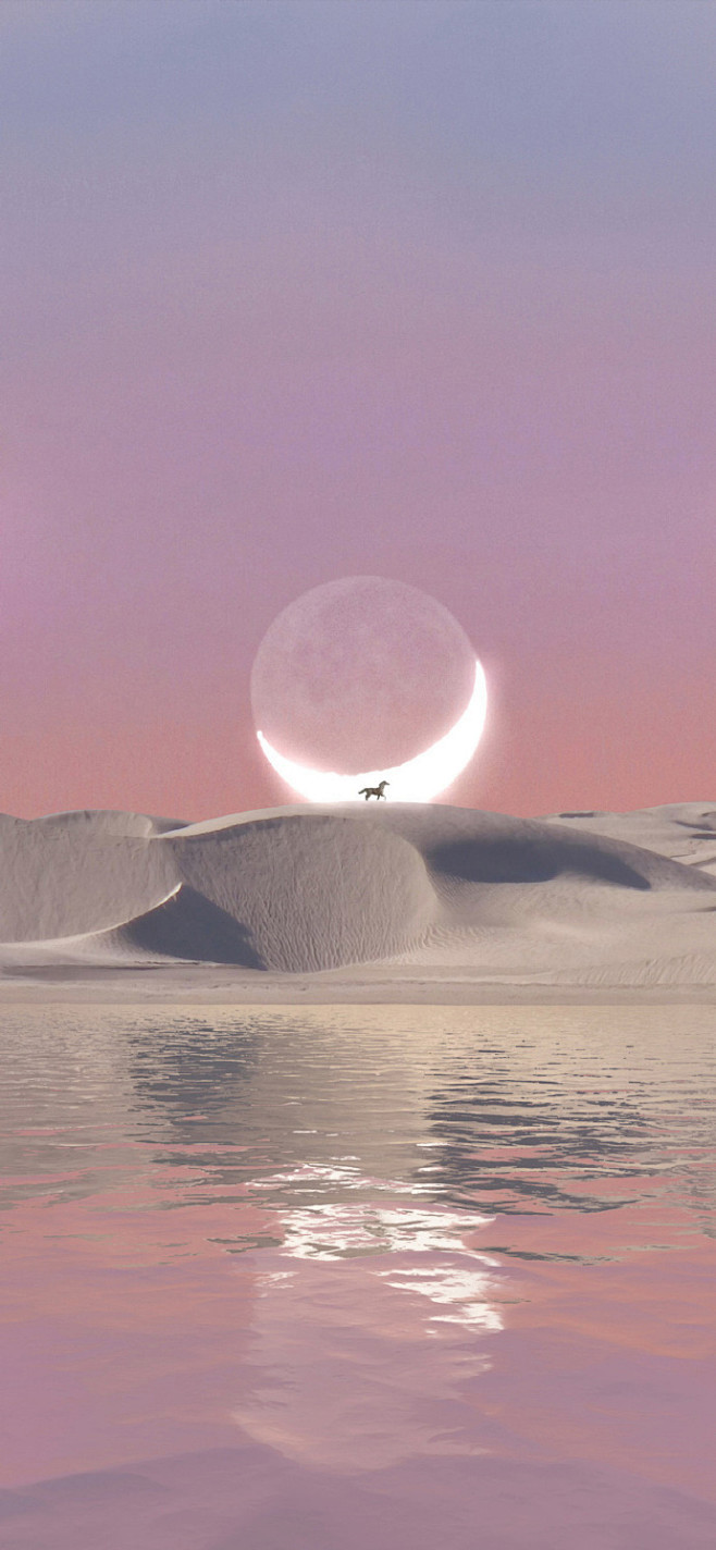 清炒时蔬小星星你可以带我向月亮问好吗 ？...