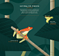 Laura Pablo on Behance