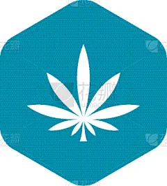 叶子,图标,简单,高雅,健康保健,博客,瘾君子,草