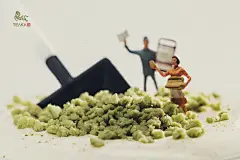 鹿马创意 | 饮品美食视觉形象策划工作室 

鹿马广告旗下，立足上海与杭州，服务辐射全国，由知名摄影师陈燕飞掌镜，专注美食与饮品视觉形象摄影设计的工作室。 
服务项目：饮品摄影丨美食摄影丨淘宝摄影丨产品摄影 | 人物摄影 | 纪实摄影丨生活摄影丨创意策划丨

我们服务过的品牌
加盟连锁茶饮
鲜果时间，蜜雪冰城，新时沏，甜啦啦，Teaka，古茗，菲比，辻利，85°Tea，