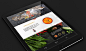 ceng x on Behance